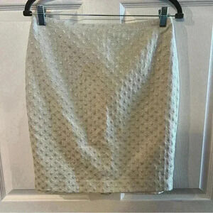 Ann Taylor Factory Winter White Pencil Skirt with Shimmer. Size 6 Petite